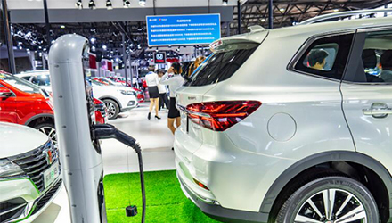 78m���Ź���(����)�й������޹�˾