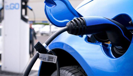 78m���Ź���(����)�й������޹�˾