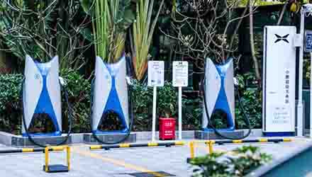 78m���Ź���(����)�й������޹�˾