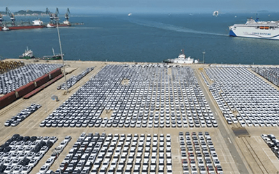 78m���Ź���(����)�й������޹�˾