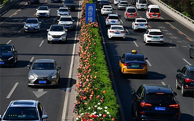 78m���Ź���(����)�й������޹�˾