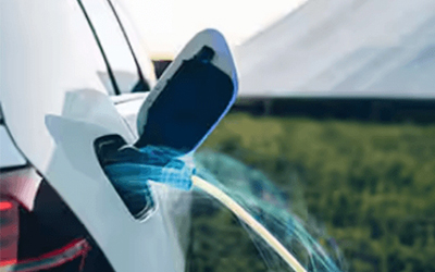 78m���Ź���(����)�й������޹�˾