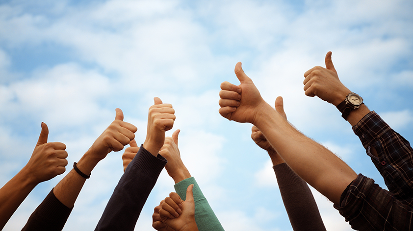 78m���Ź���(����)�й������޹�˾